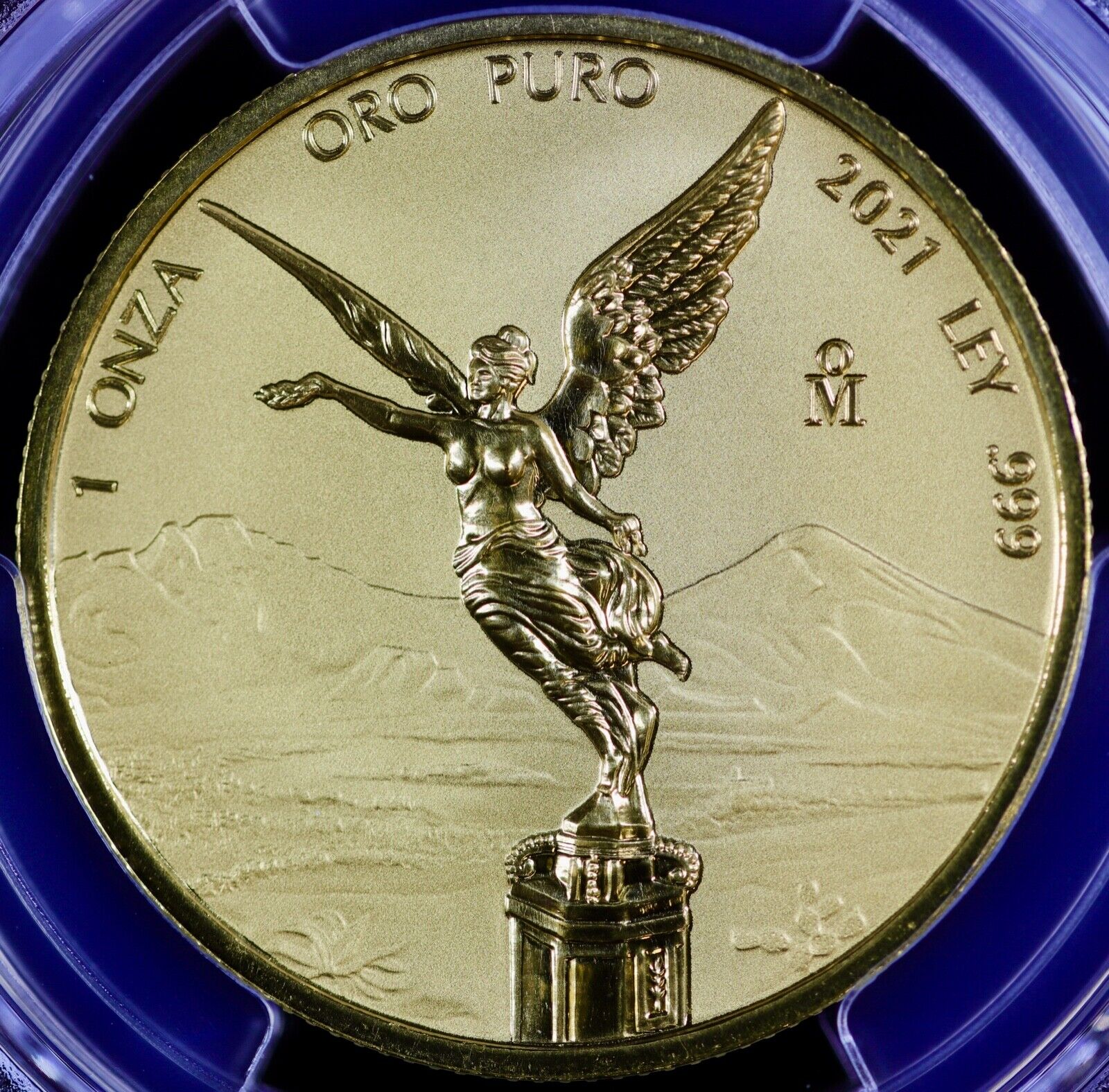 Buy 2021 1 oz Reverse Proof Mexican Gold Libertad Coin