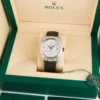 Rolex Sky-Dweller White Gold Factory Diamond Set Meteorite Diamond Set Dial 2022